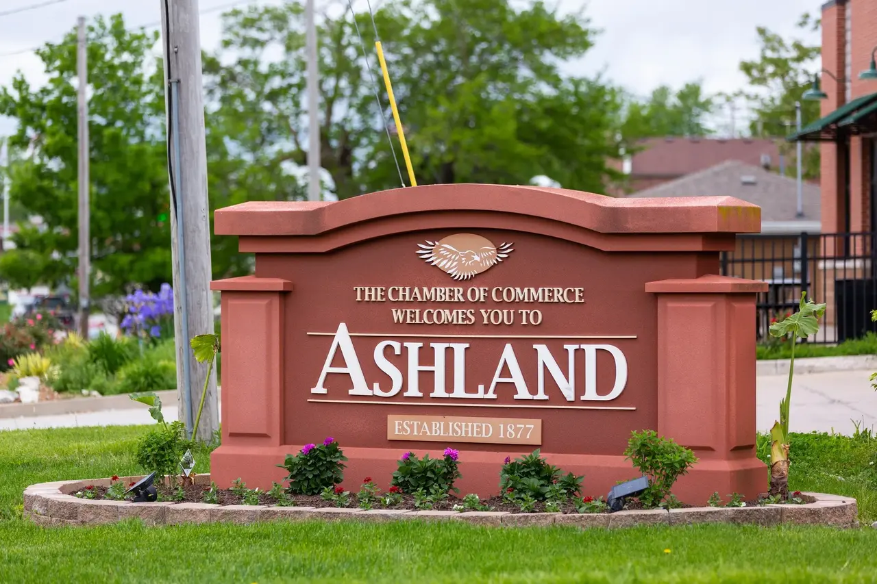 Tree service in Ashland, MO — Tree Wizard crew