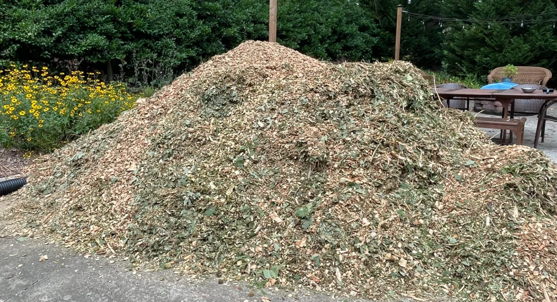 A fresh pile of wood chips dumped in a Columbia, MO driveway