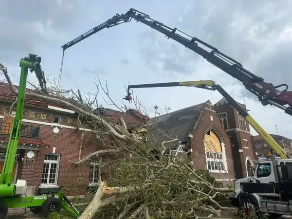 Two cranes working on a large tree removal in Columbia MO