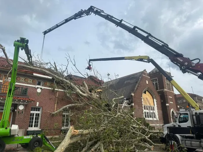Two cranes working on a large tree removal in Columbia MO