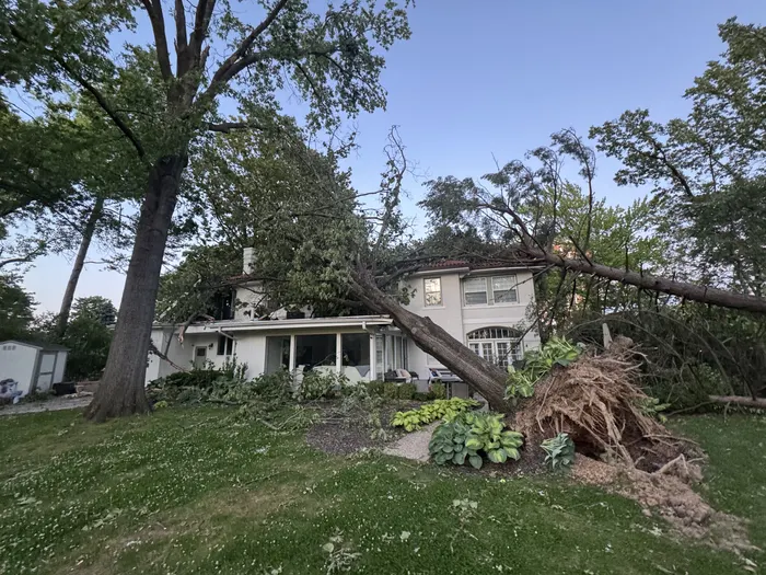 Storm damage tree on house — Tree Wizard emergency cleanup