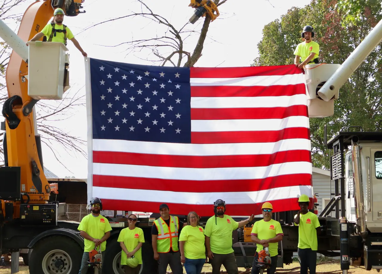 Tree Wizard crew at work in Columbia, MO