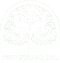 Tree Wizard