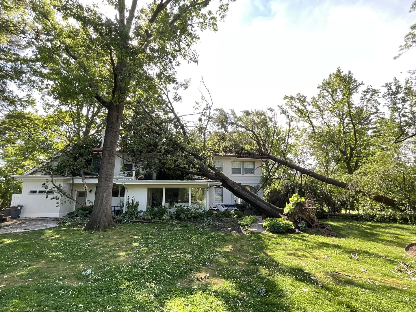 Tree on house after storm - insurance tree removal service