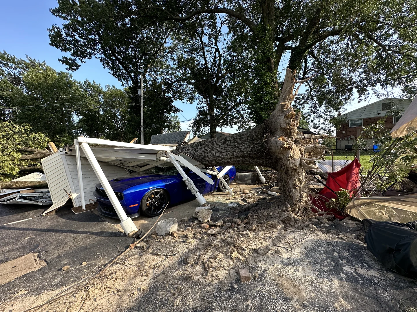 Storm damage crew clearing a downed tree from a yard