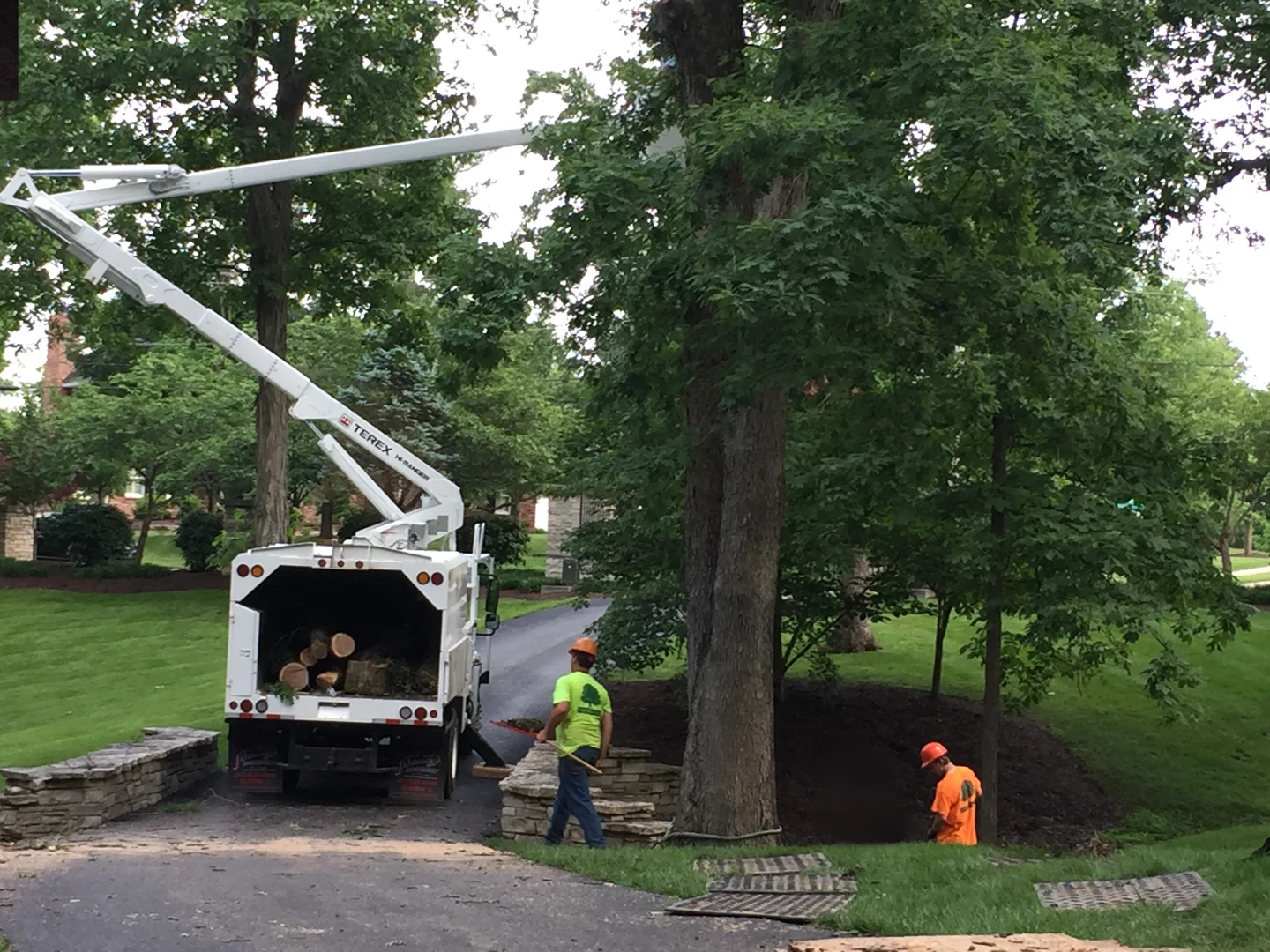 Tree removal crew working with equipment in Columbia MO