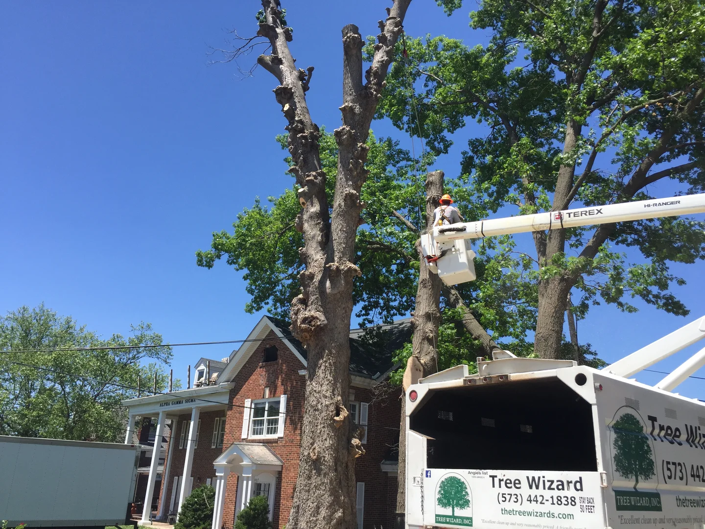 Bucket truck pruning a large tree near a home